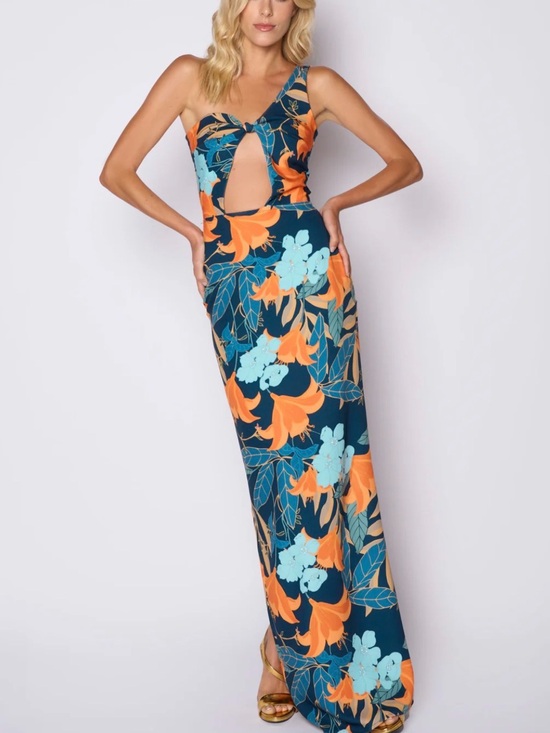 Dayana Henriquez Dresses & Skirts - Day Henríquez Briss Dress Canto de la Sirena XS/S Tropical Maxi Resort $235